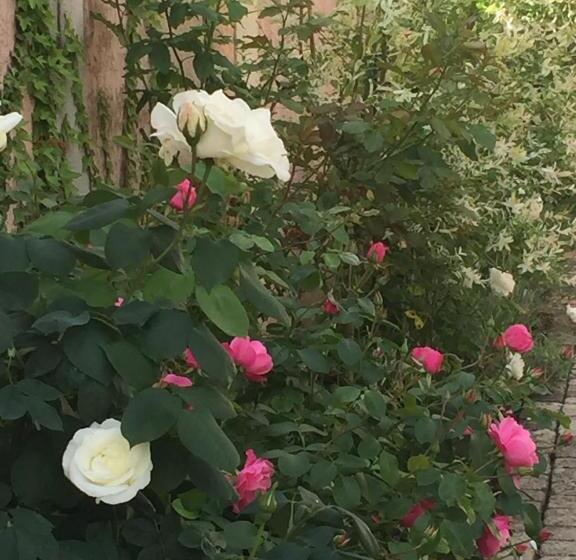 ベッドアンドブレックファースト Rose Garden Mezzanine