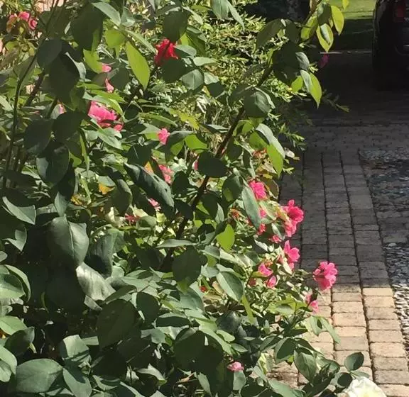 Aamiaismajoitus (B&B) Rose Garden Mezzanine