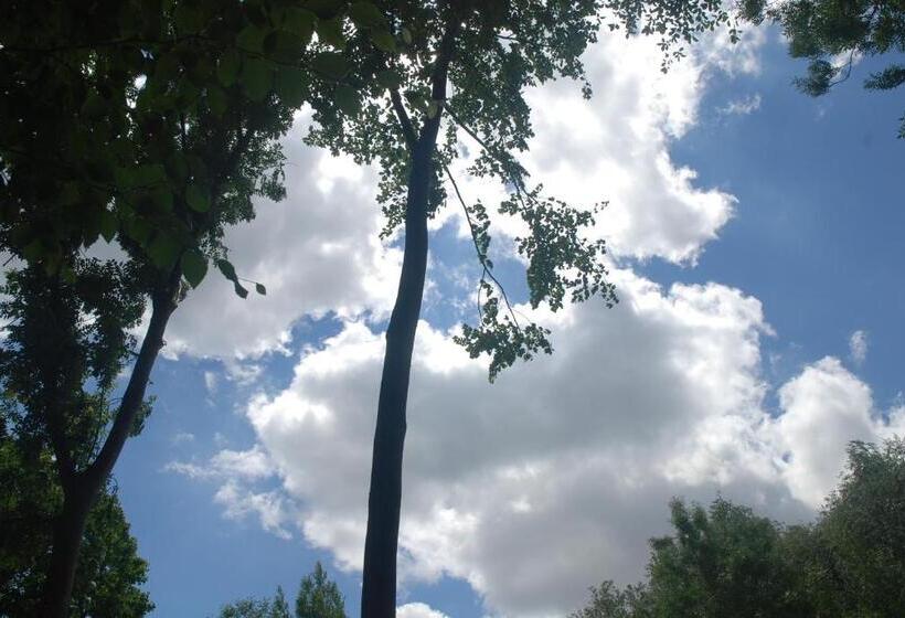 ベッドアンドブレックファースト Rose Garden Mezzanine