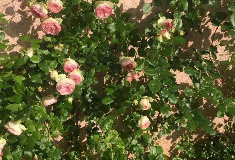 Aamiaismajoitus (B&B) Rose Garden Mezzanine