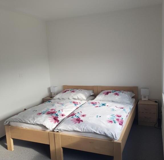 پانسیون Apartmaji Janković