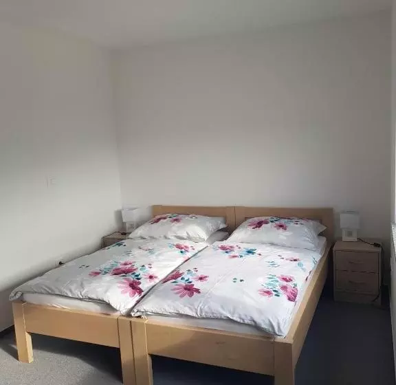 پانسیون Apartmaji Janković