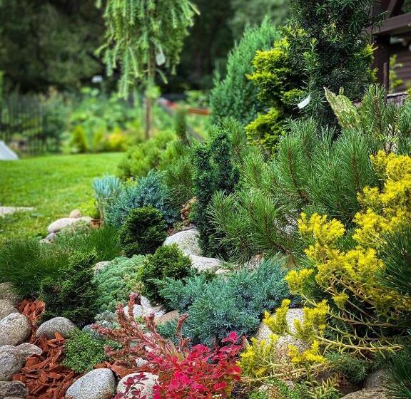 פנסיון Privat Forest