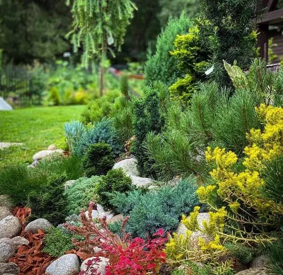 پانسیون Privat Forest