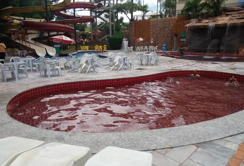Golden Dolphin Grand