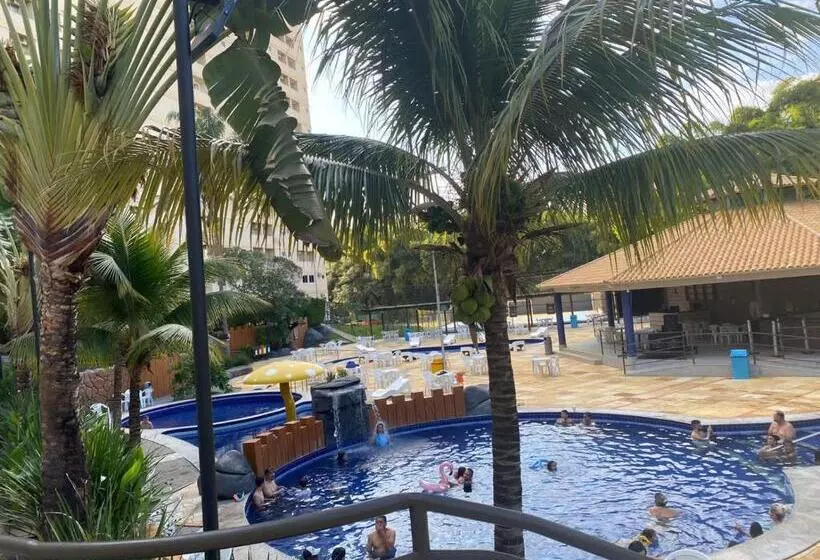 Golden Dolphin Grand