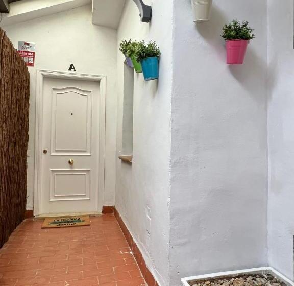 ático Plaza Circular