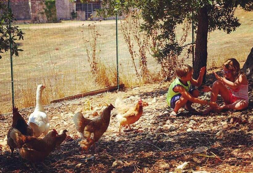 تختخواب و صبحانه Trulli Panoramici