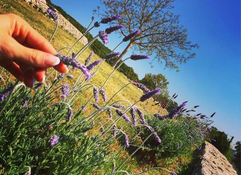 تختخواب و صبحانه Trulli Panoramici