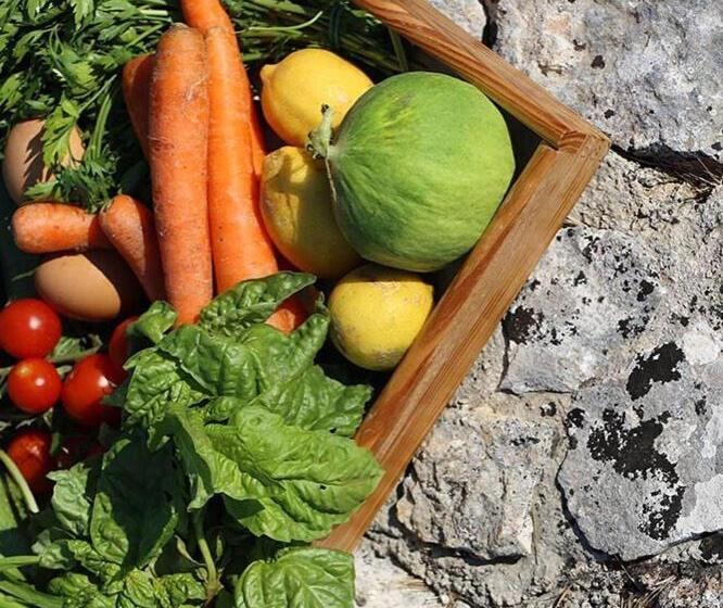 تختخواب و صبحانه Trulli Panoramici