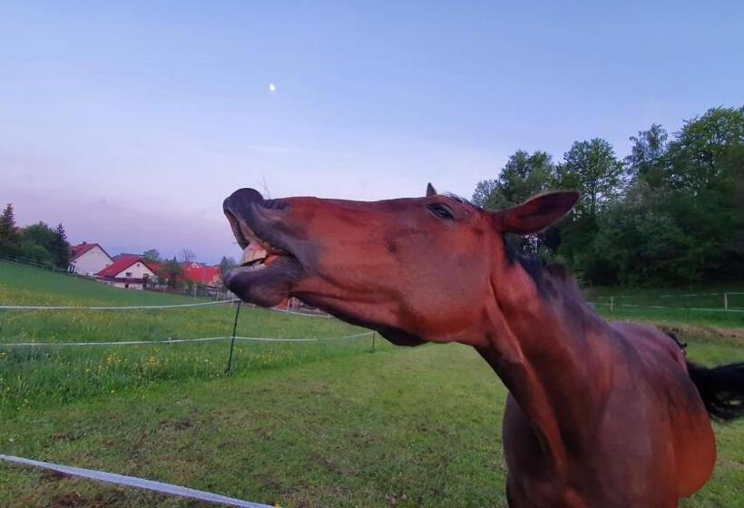 Black Forest Schwarzwaldperle