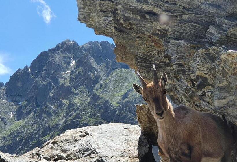 L Eterlou Saint Blaise, Bel Appartement Neuf Mansardé