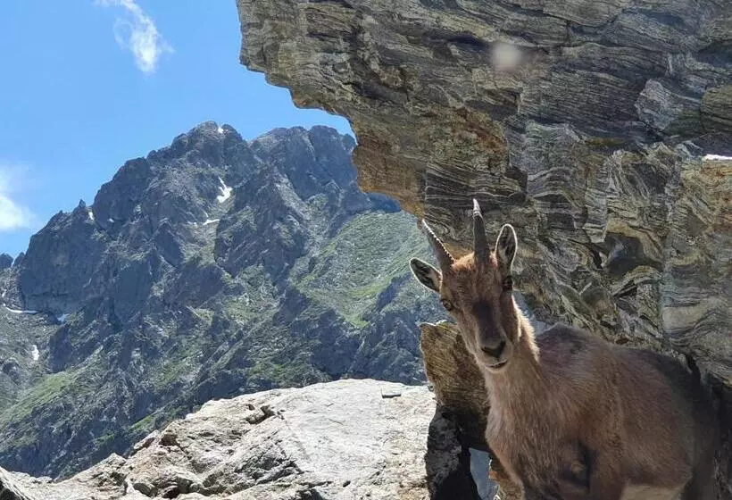 L Eterlou Saint Blaise, Bel Appartement Neuf Mansardé