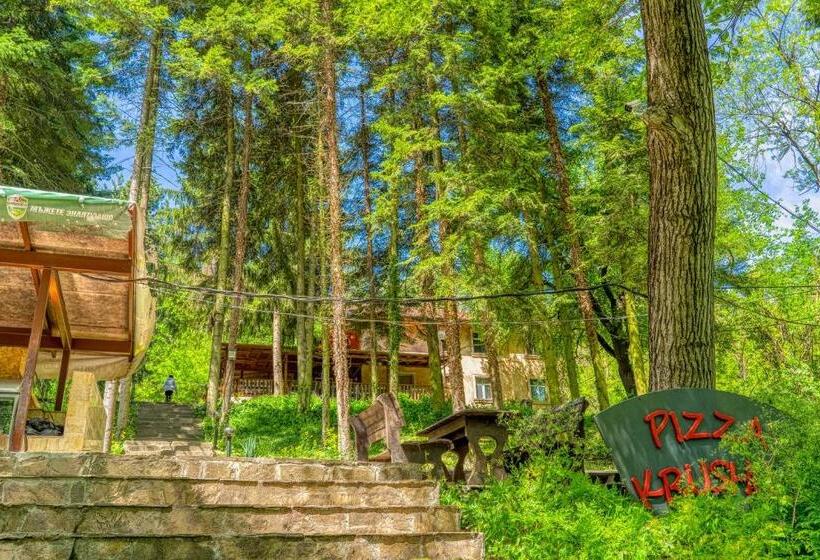 ペンション къща за гости крушун