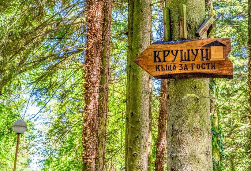 ペンション къща за гости крушун