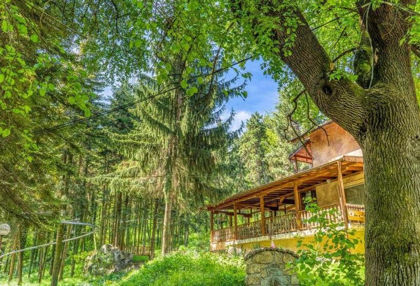 ペンション къща за гости крушун