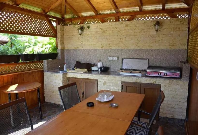 ペンション Casa Sarofin