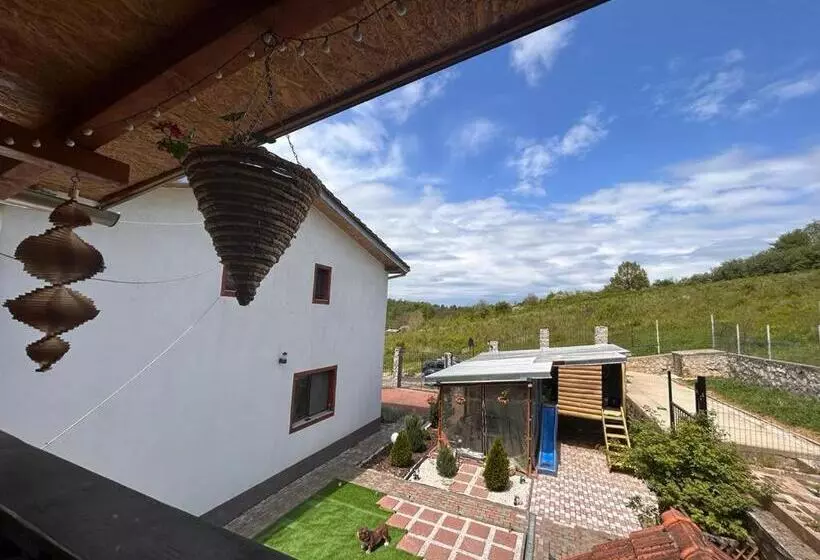 ペンション Colț De Rai Camera De Inchiriat