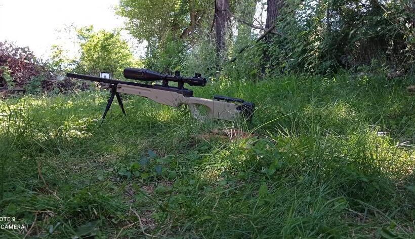 پانسیون Colț De Rai Camera De Inchiriat