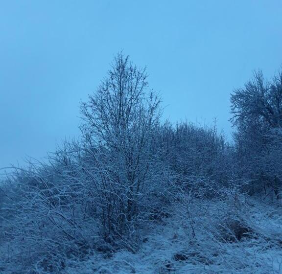 پانسیون Colț De Rai Camera De Inchiriat