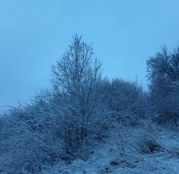 ペンション Colț De Rai Camera De Inchiriat