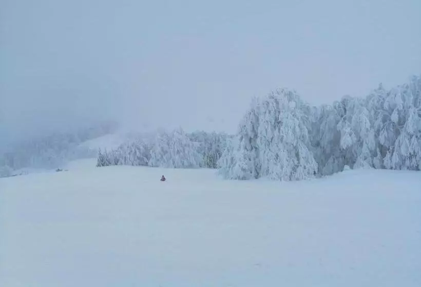 ペンション Colț De Rai Camera De Inchiriat