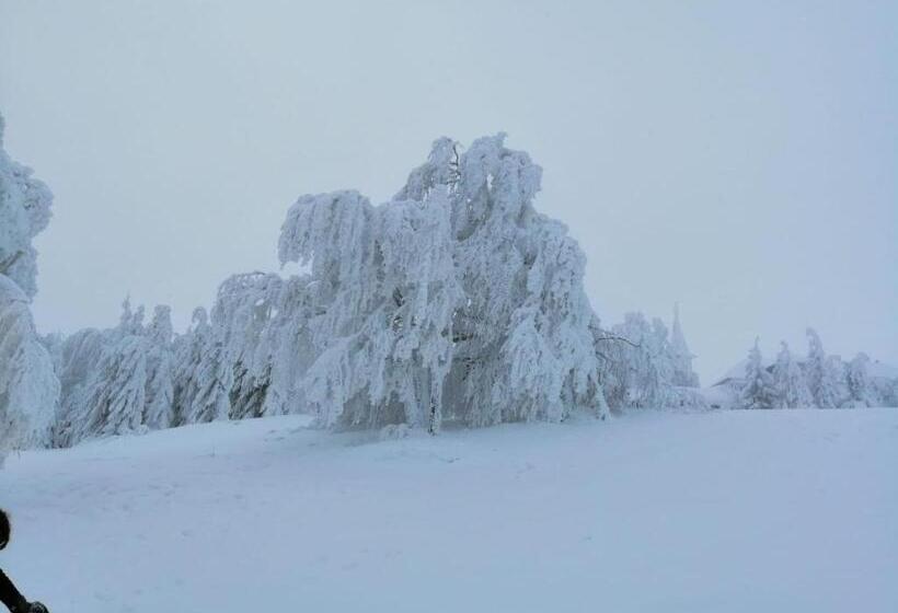 پانسیون Colț De Rai Camera De Inchiriat