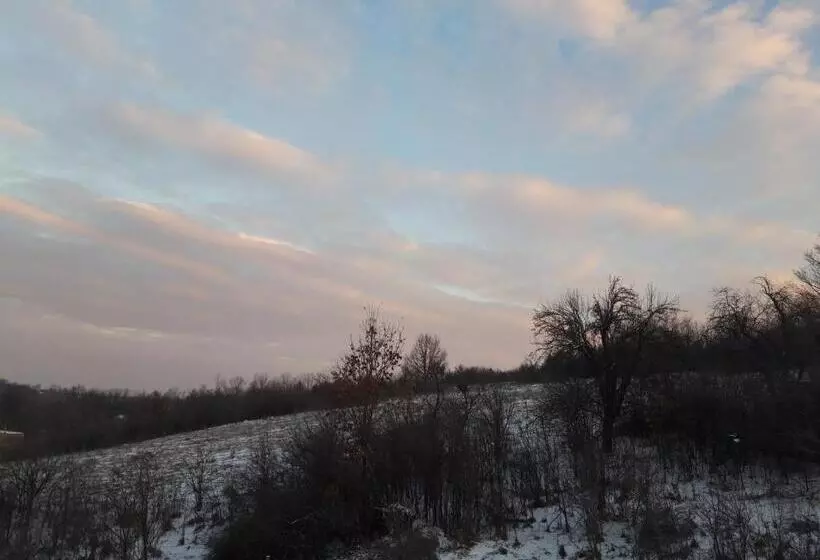 ペンション Colț De Rai Camera De Inchiriat