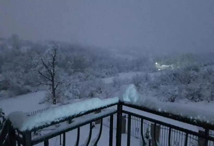 ペンション Colț De Rai Camera De Inchiriat