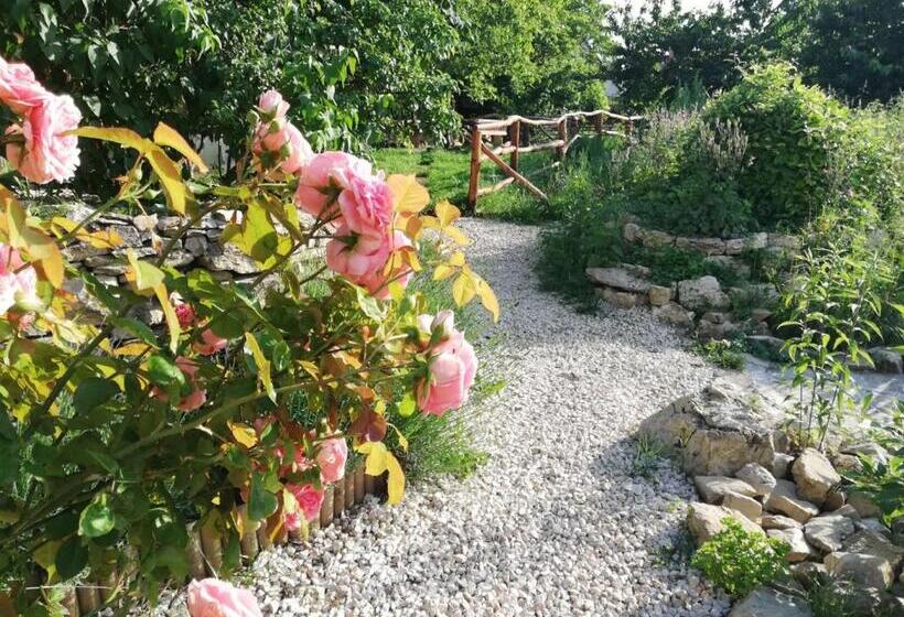 ペンション Mohatetős Lombház