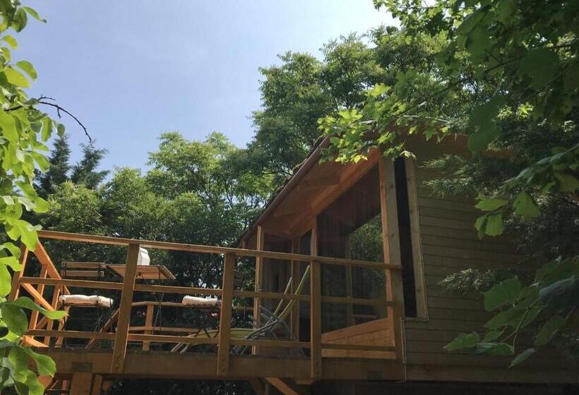 ペンション Mohatetős Lombház