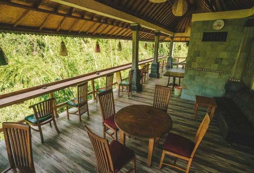 فندق صغير Ww Backpackers