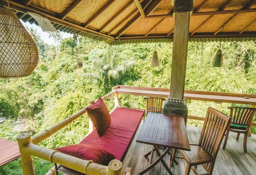 فندق صغير Ww Backpackers