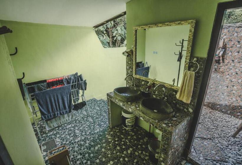 فندق صغير Ww Backpackers