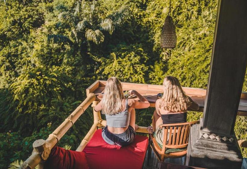 فندق صغير Ww Backpackers