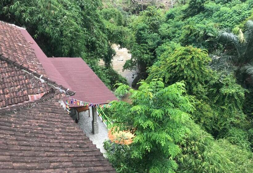 فندق صغير Ww Backpackers