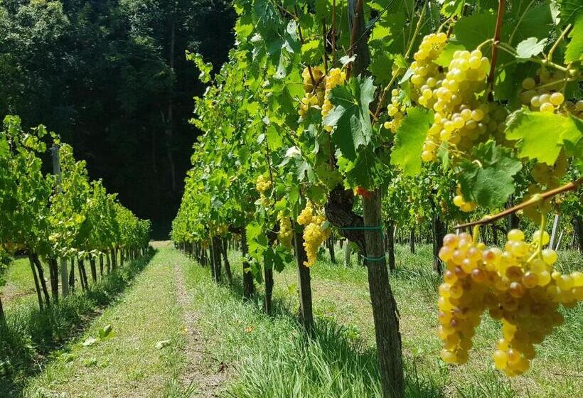 هتل Wine House Kaloh