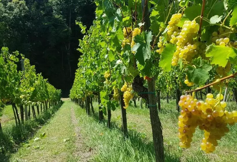 هتل Wine House Kaloh