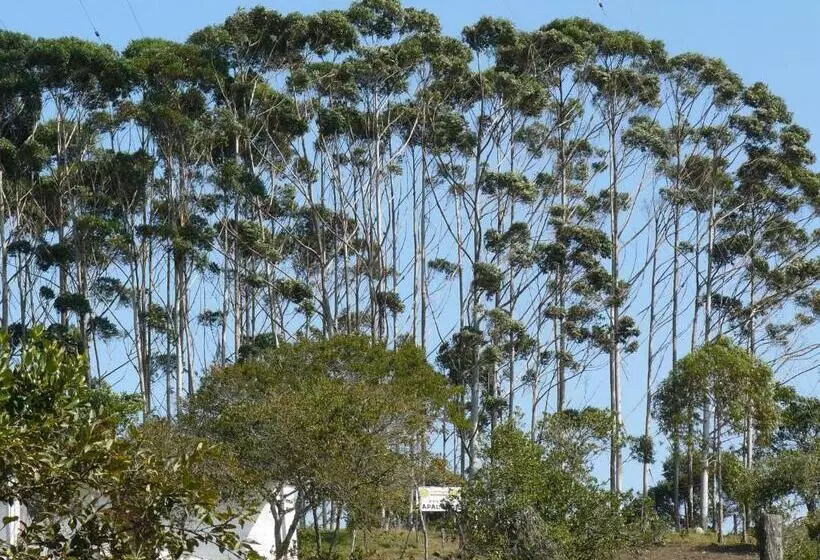 La Casa De Mamá Tere