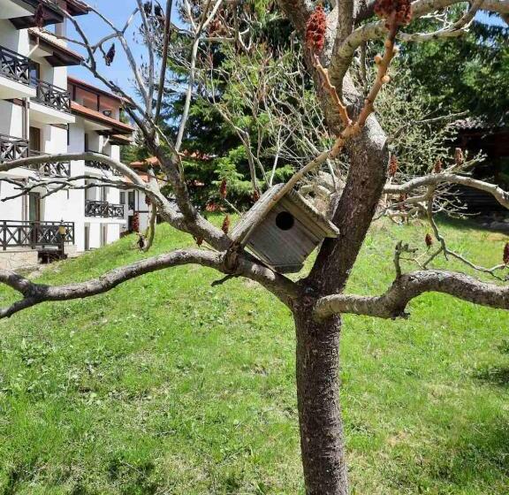 Lusi Holiday, смолянски езера