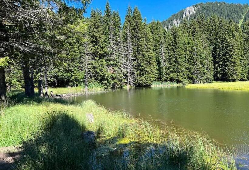 Lusi Holiday, смолянски езера