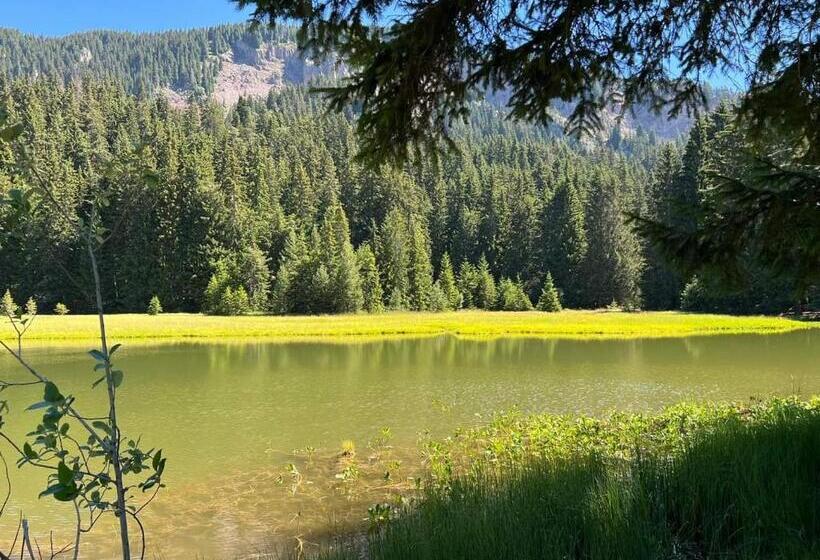 Lusi Holiday, смолянски езера