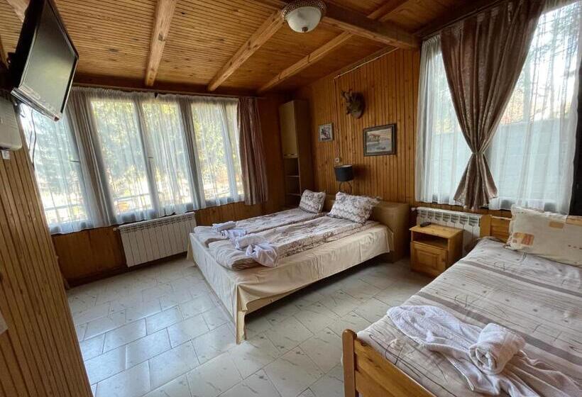 Pensiune вила мерджан