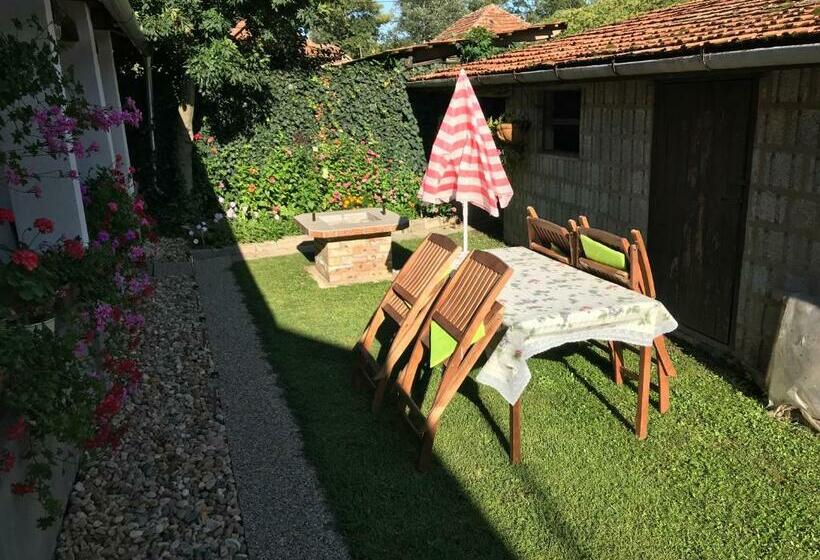 פנסיון Rózsa Vendégház