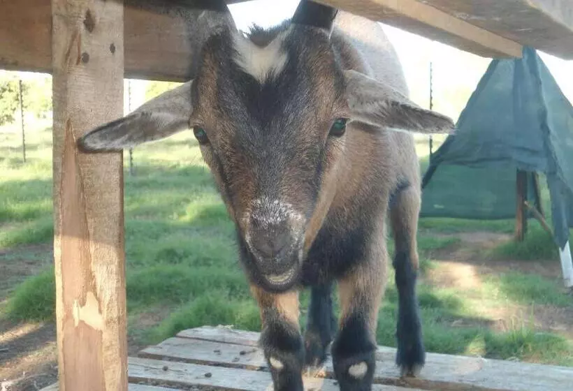 ペンション Smithfield House