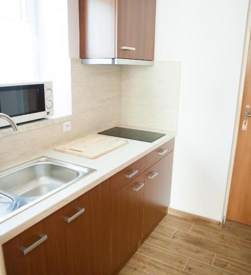 Pensionat Vila Sofia