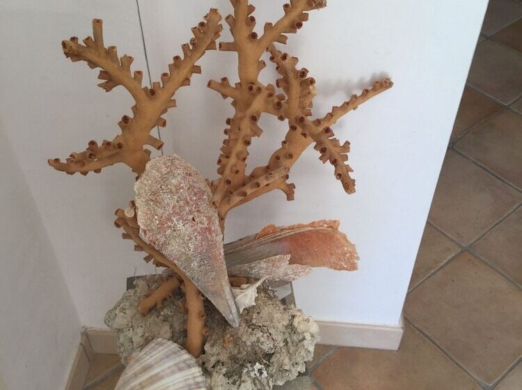 مبيت وإفطار Lunacalanti