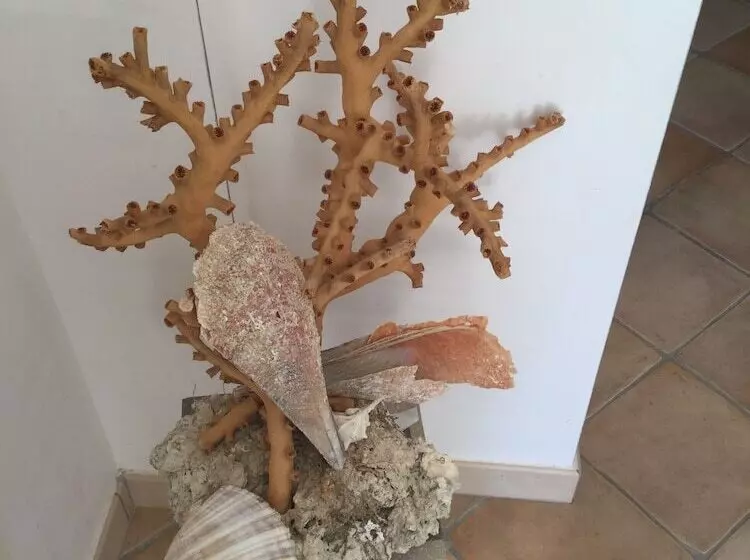 تختخواب و صبحانه Lunacalanti