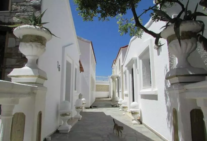 ホテル Castellino Studios