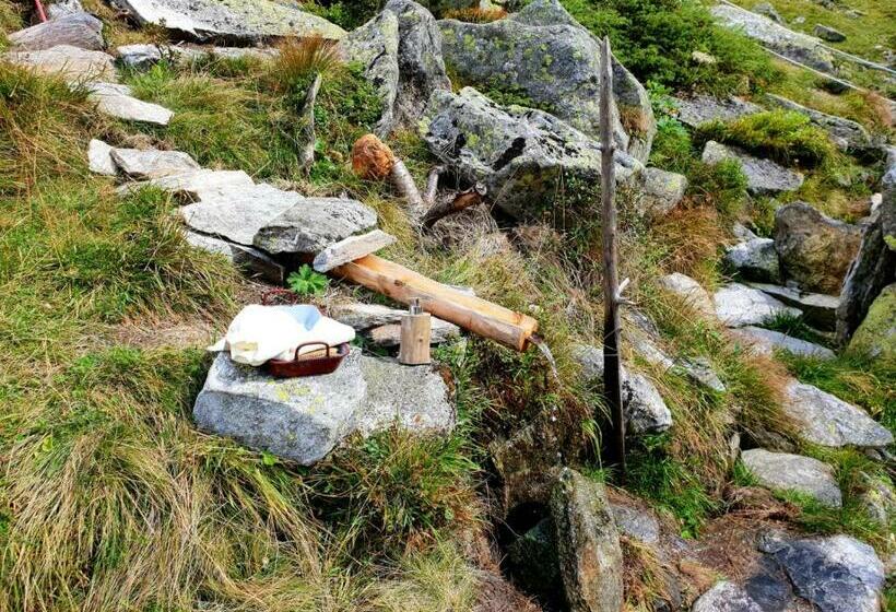 Общежитие Gästehaus Wildauer